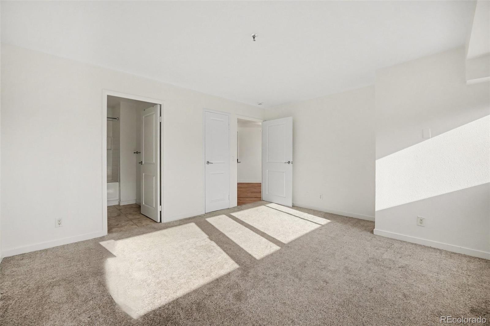 MLS Image #14 for 100  park avenue 1007,denver, Colorado