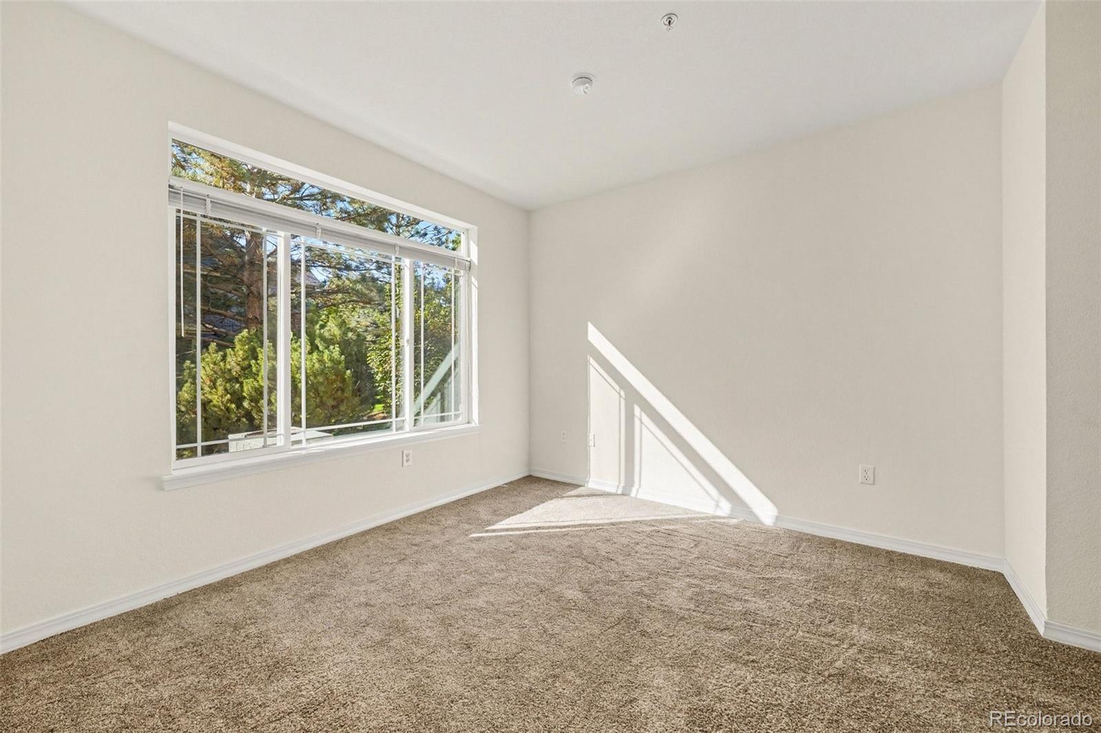 MLS Image #17 for 804  summer hawk drive,longmont, Colorado