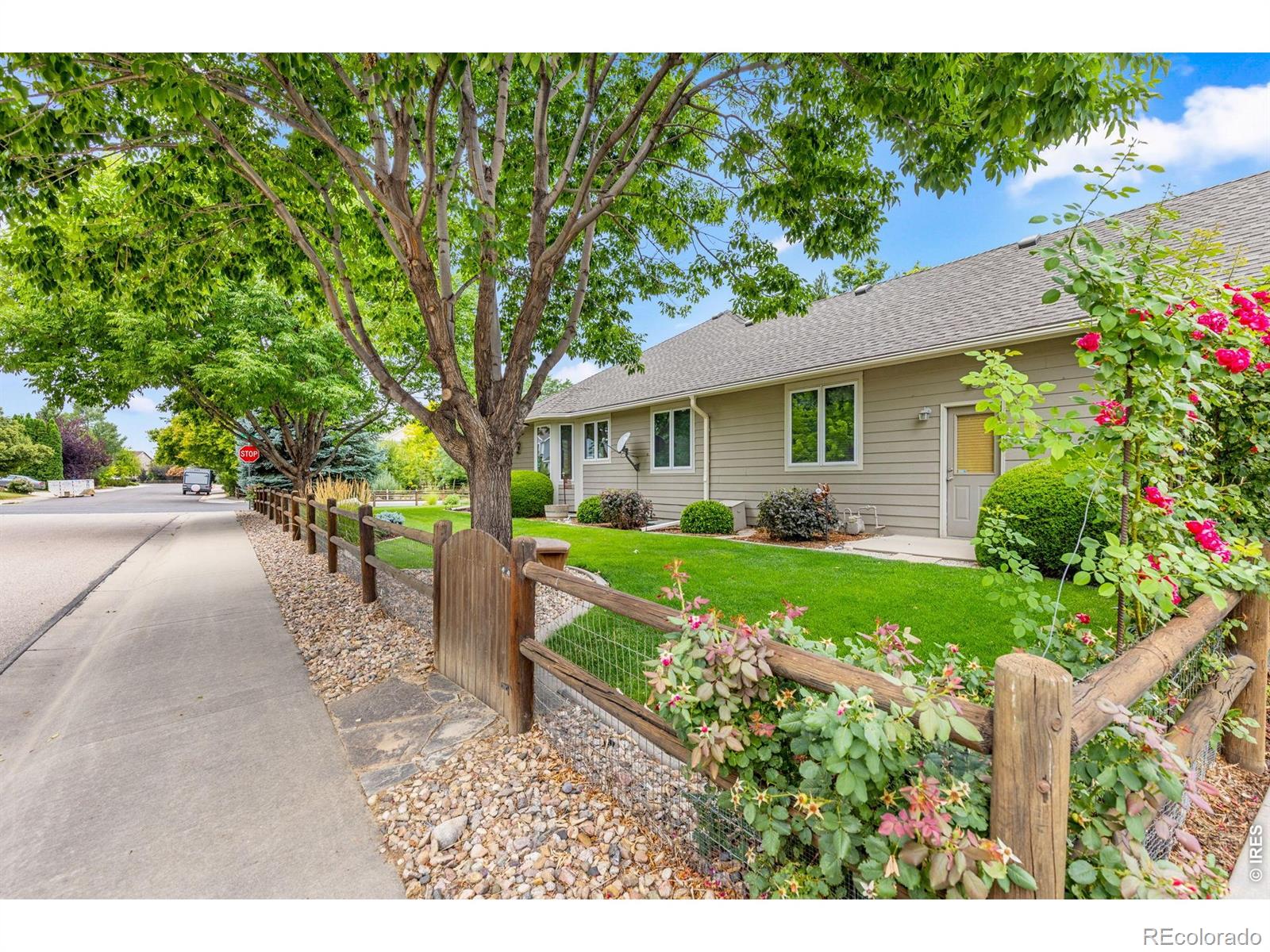 MLS Image #30 for 5441  gulfstar drive,windsor, Colorado