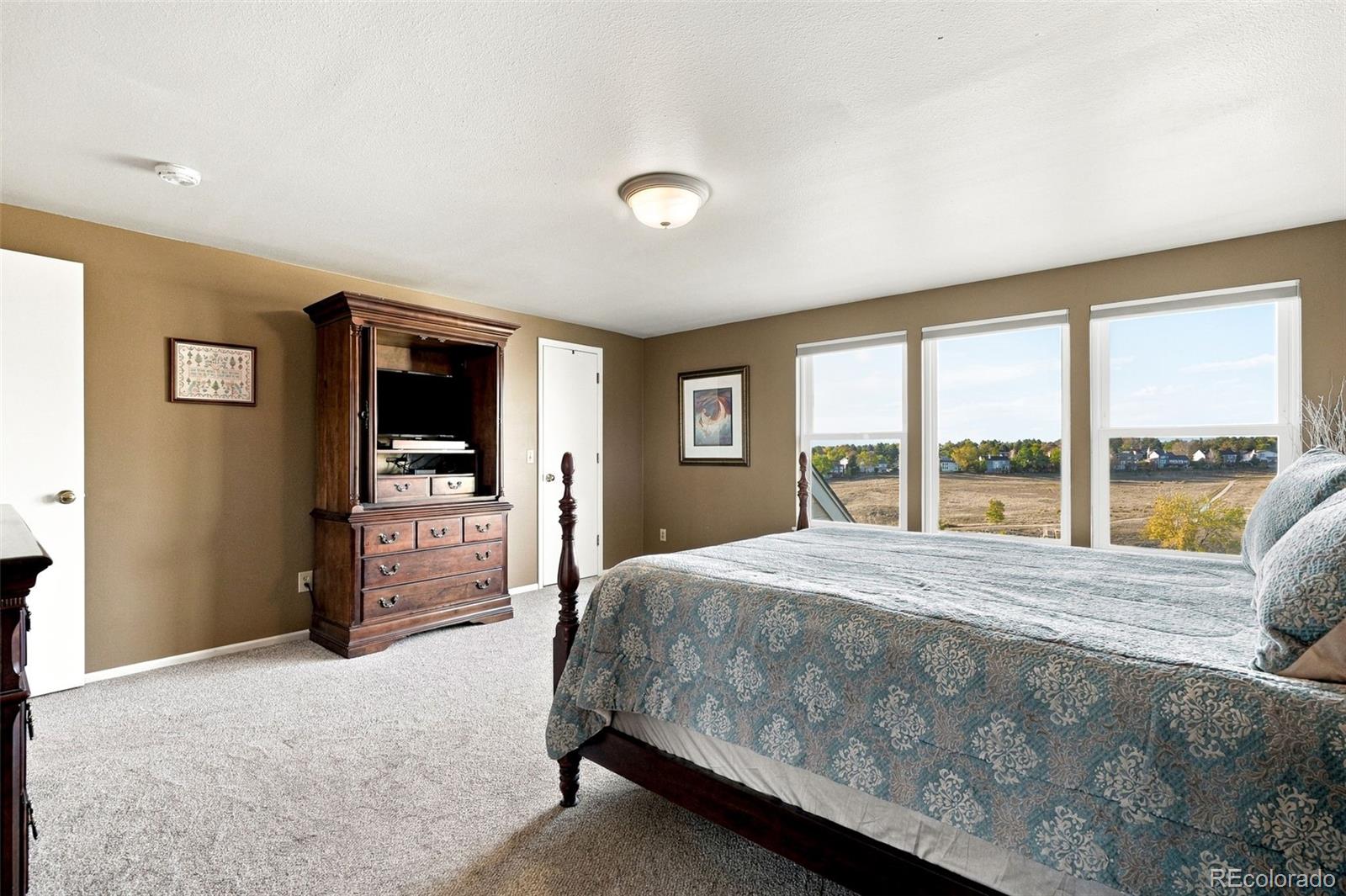 MLS Image #17 for 1853  mountain sage run,highlands ranch, Colorado