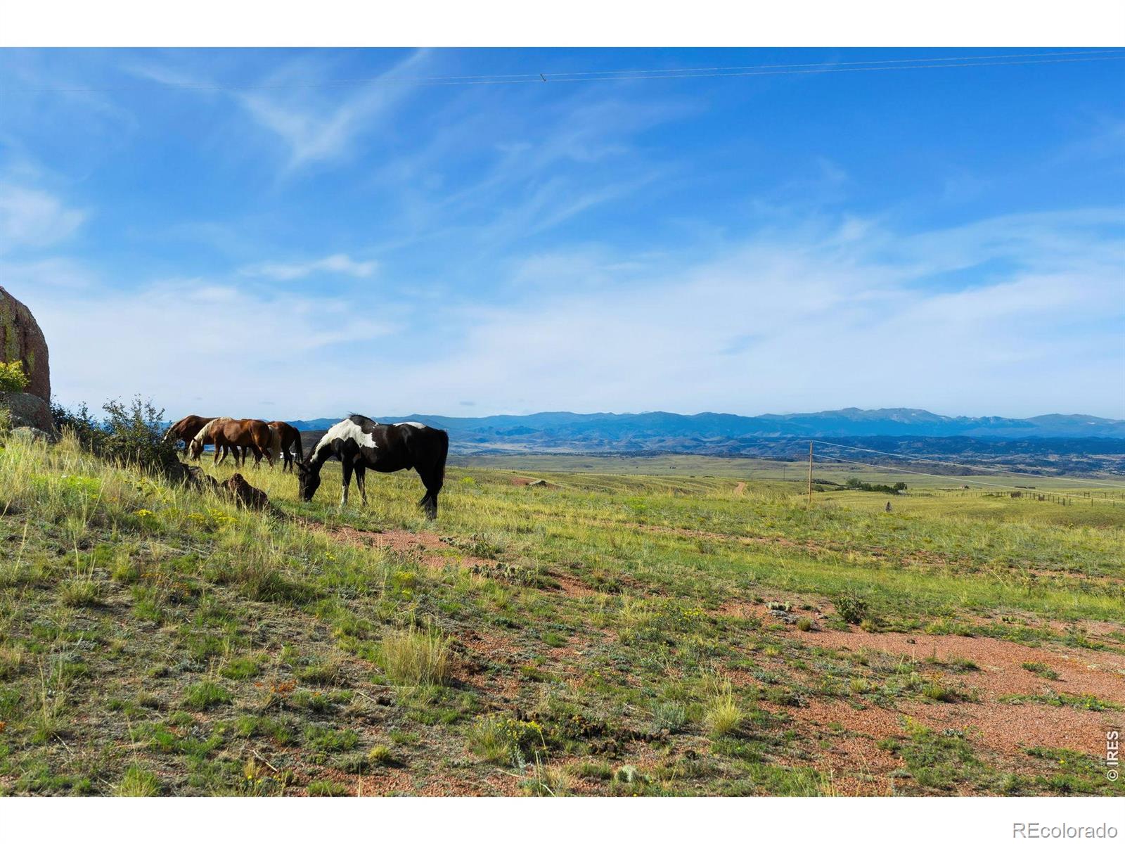 MLS Image #45 for 180  great twins road,livermore, Colorado