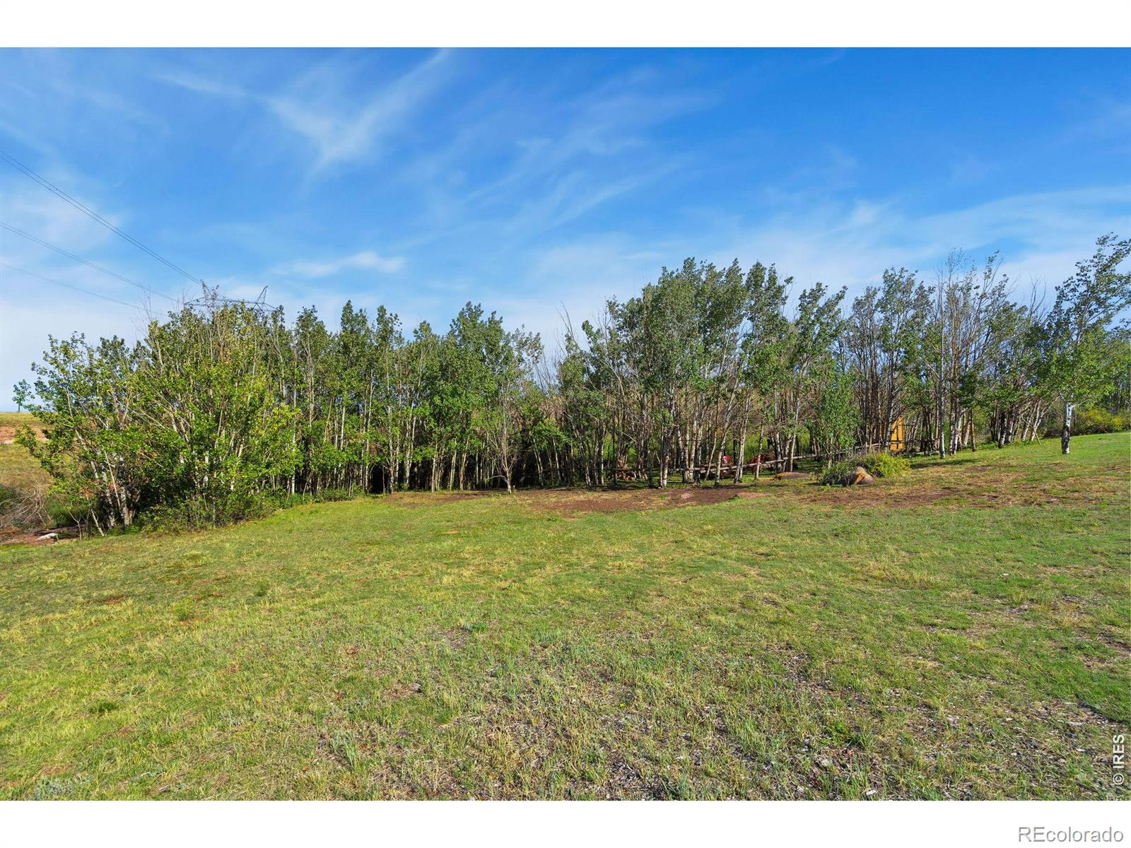 MLS Image #5 for 180  great twins road,livermore, Colorado