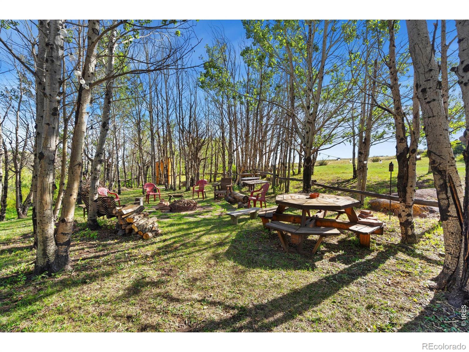 MLS Image #6 for 180  great twins road,livermore, Colorado