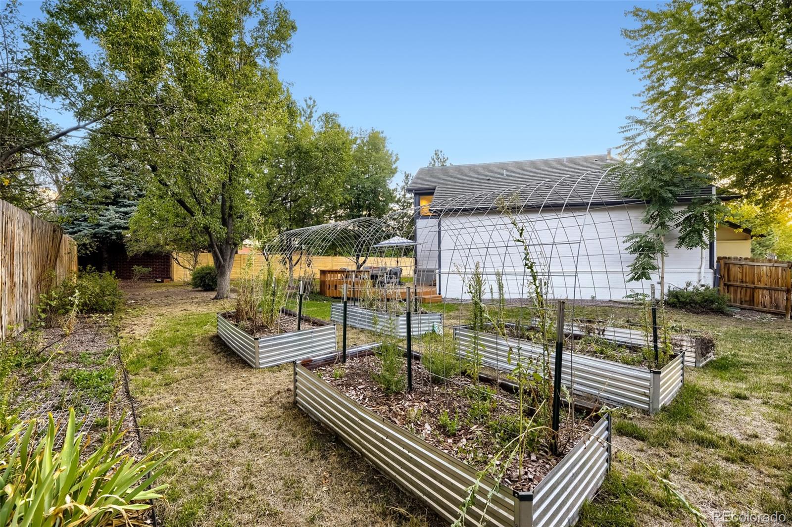 MLS Image #17 for 3210  arbutus street,golden, Colorado
