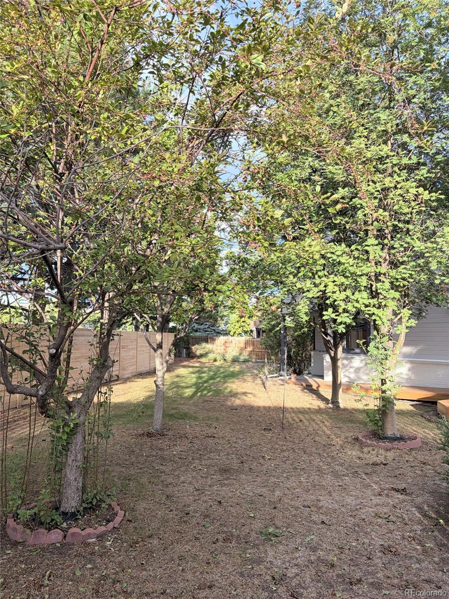 MLS Image #19 for 3210  arbutus street,golden, Colorado