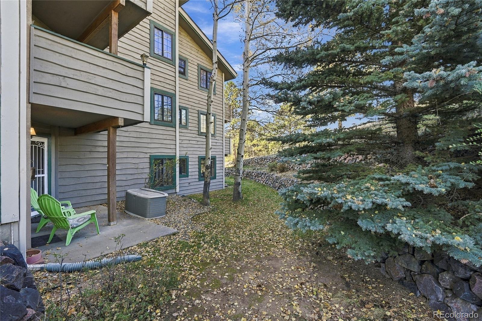 MLS Image #20 for 31819  rocky village drive,evergreen, Colorado