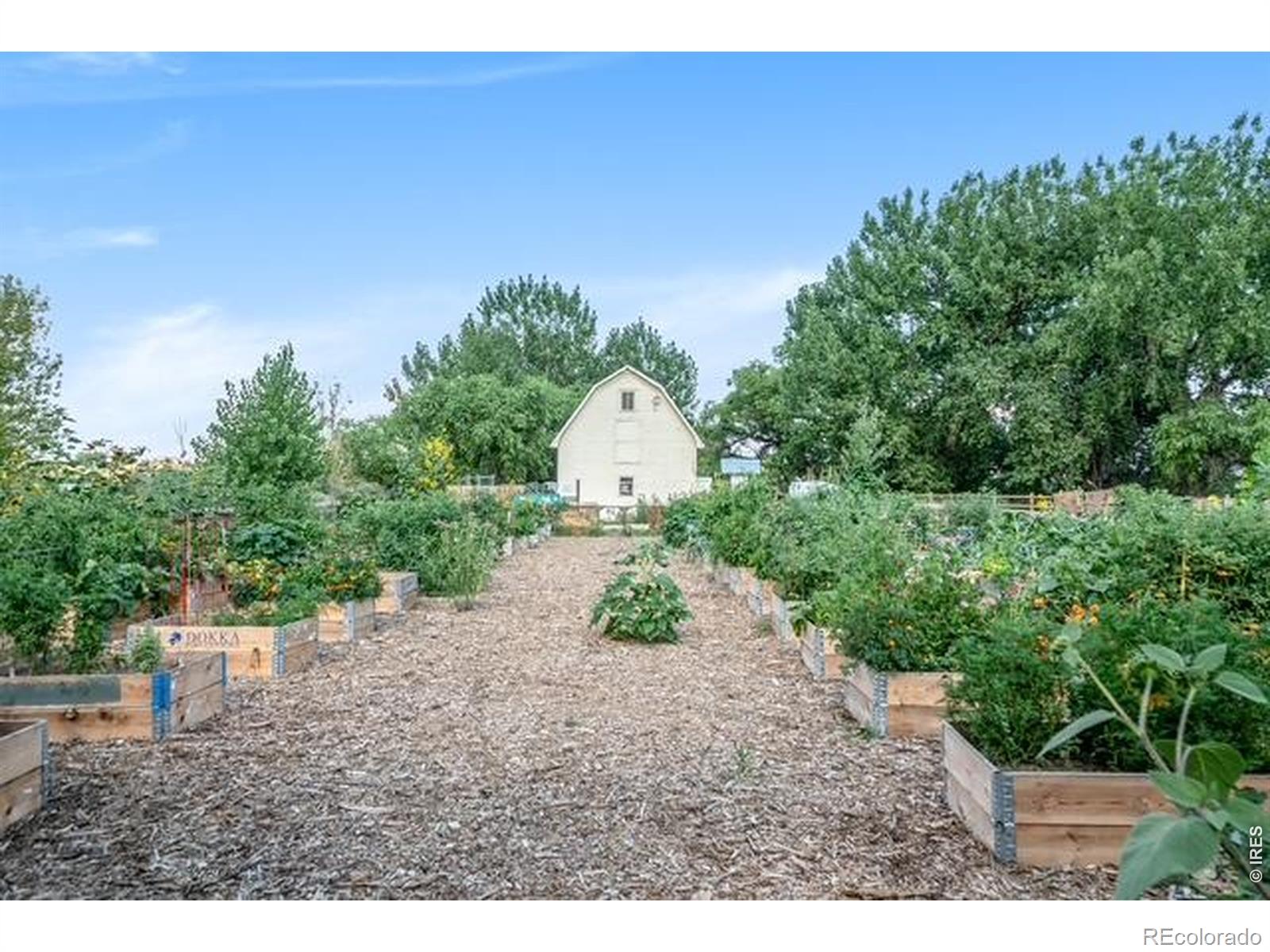 MLS Image #45 for 4460  long pine lake drive,loveland, Colorado