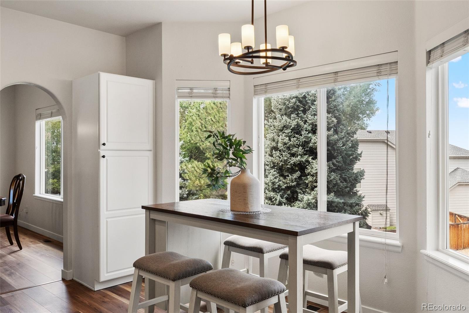MLS Image #21 for 9477  burgundy circle,highlands ranch, Colorado