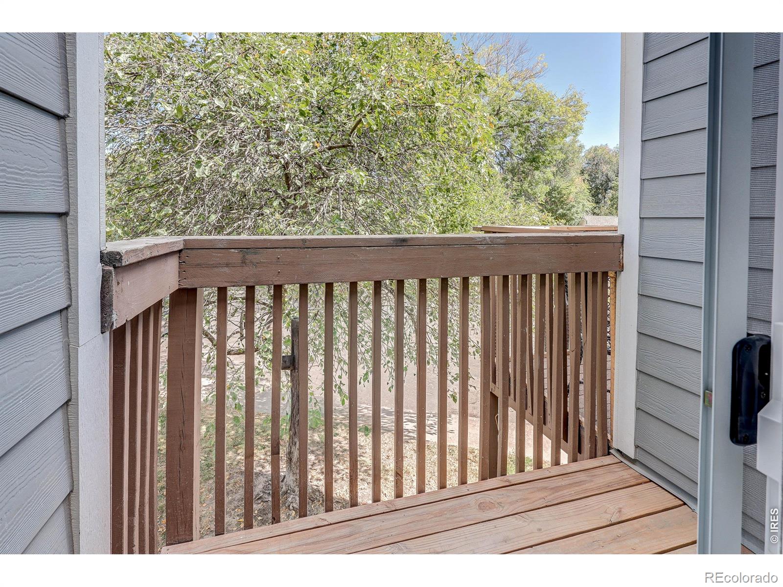 MLS Image #8 for 225 e 8th avenue,longmont, Colorado