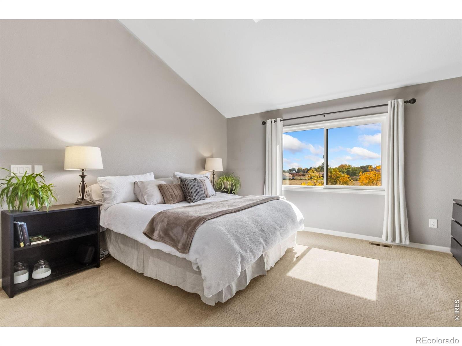 MLS Image #19 for 701  terra view circle,fort collins, Colorado
