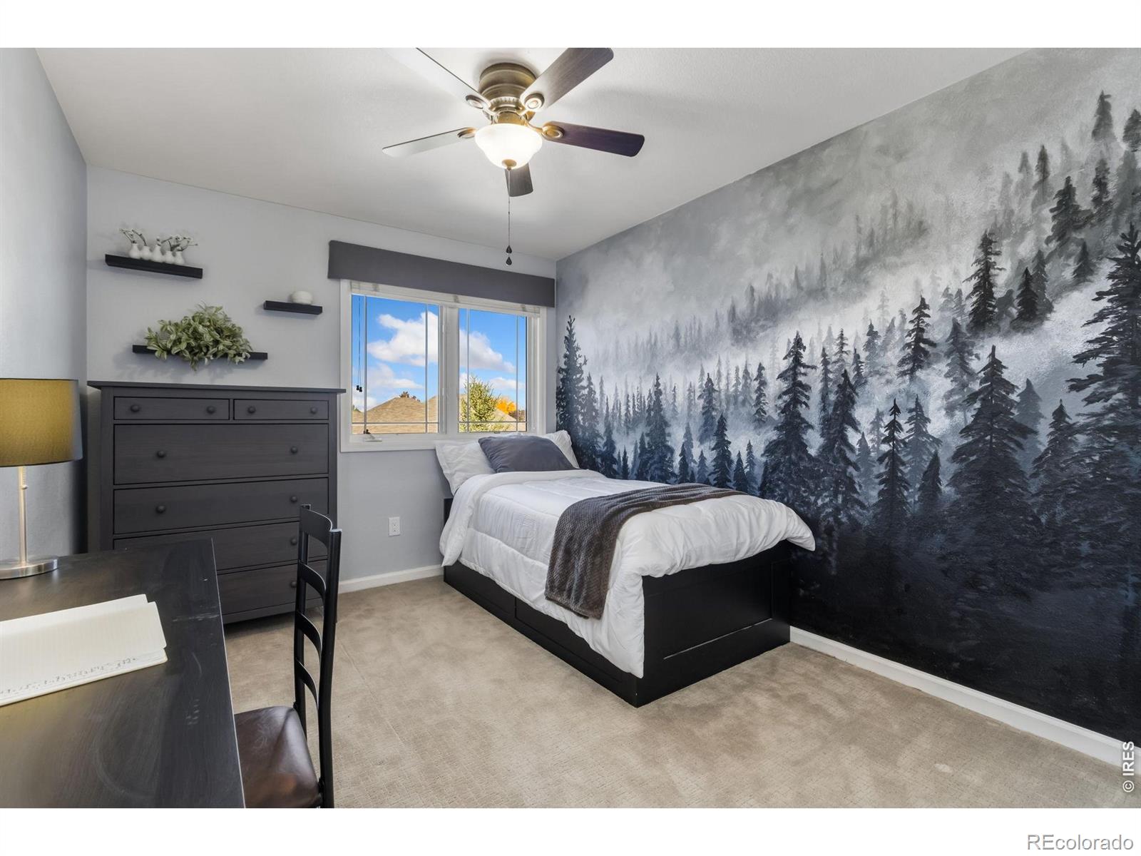 MLS Image #23 for 701  terra view circle,fort collins, Colorado