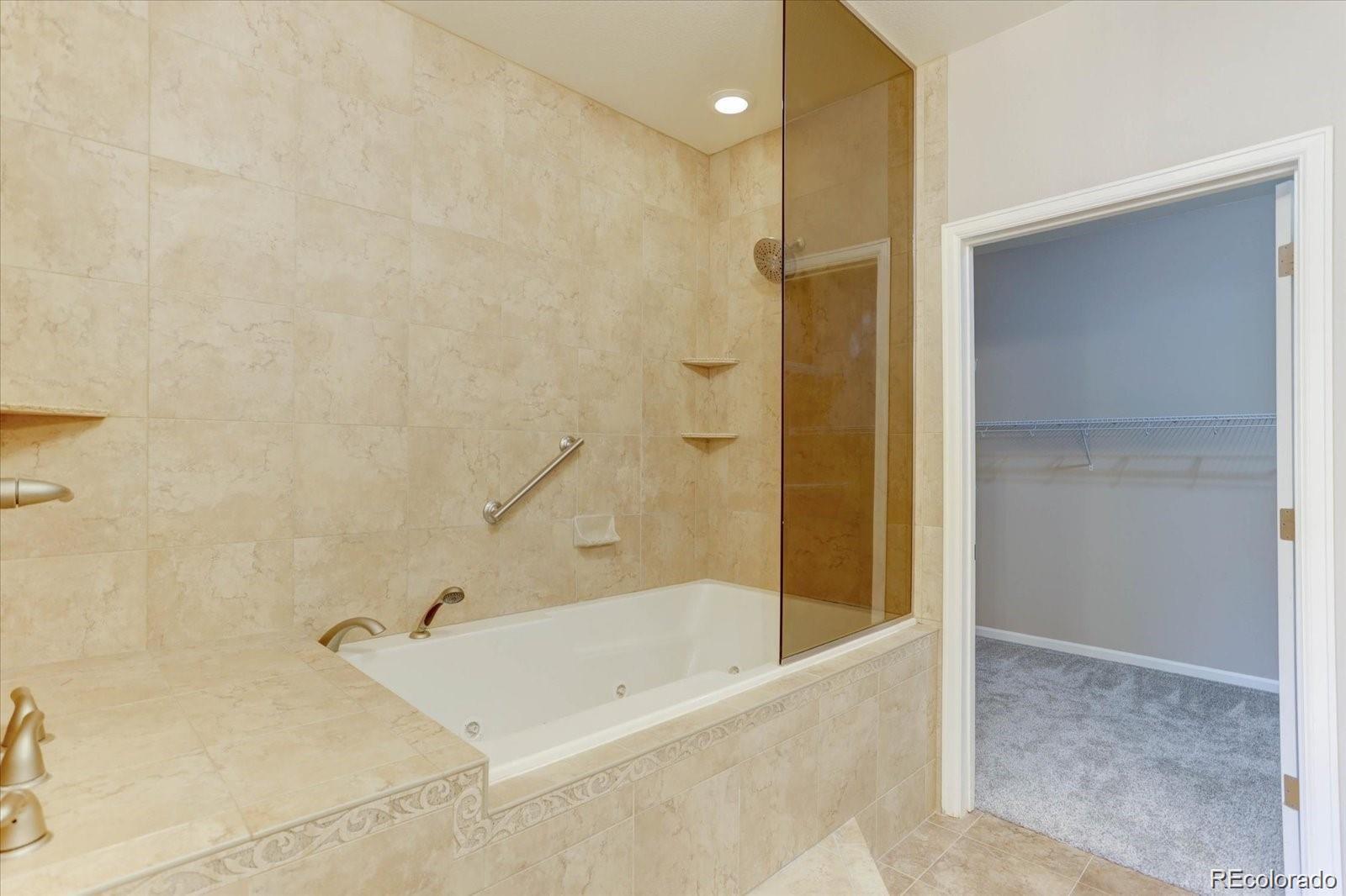 MLS Image #19 for 8558  gold peak lane,highlands ranch, Colorado