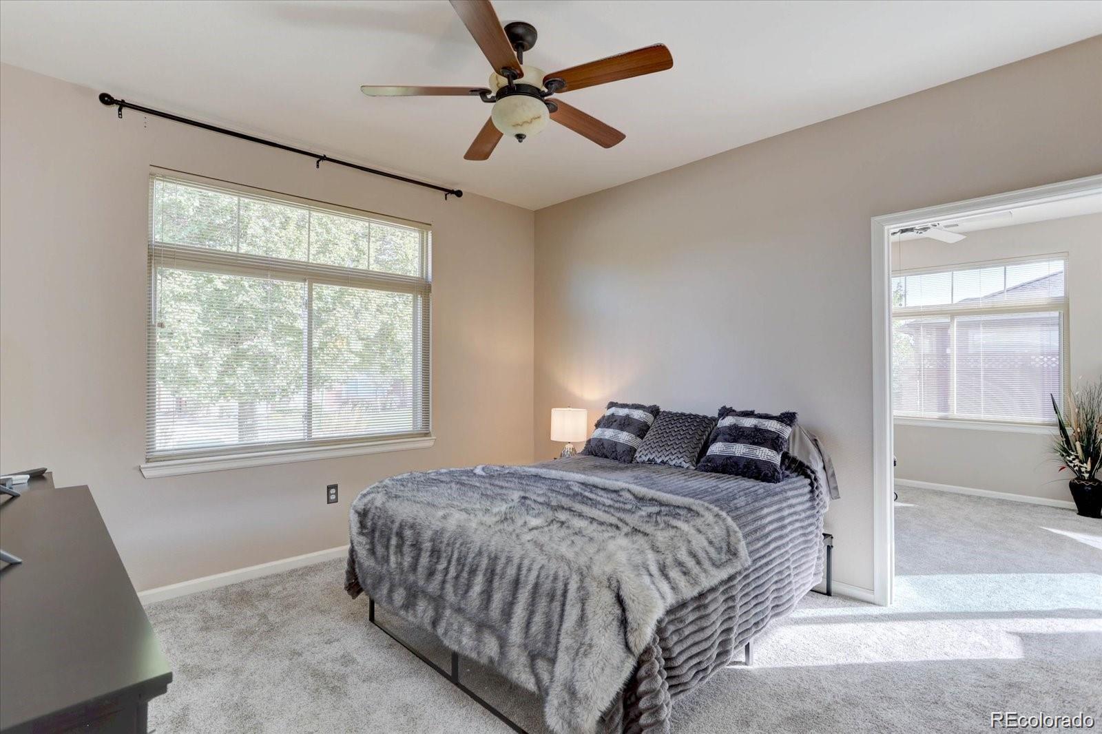 MLS Image #20 for 8558  gold peak lane,highlands ranch, Colorado