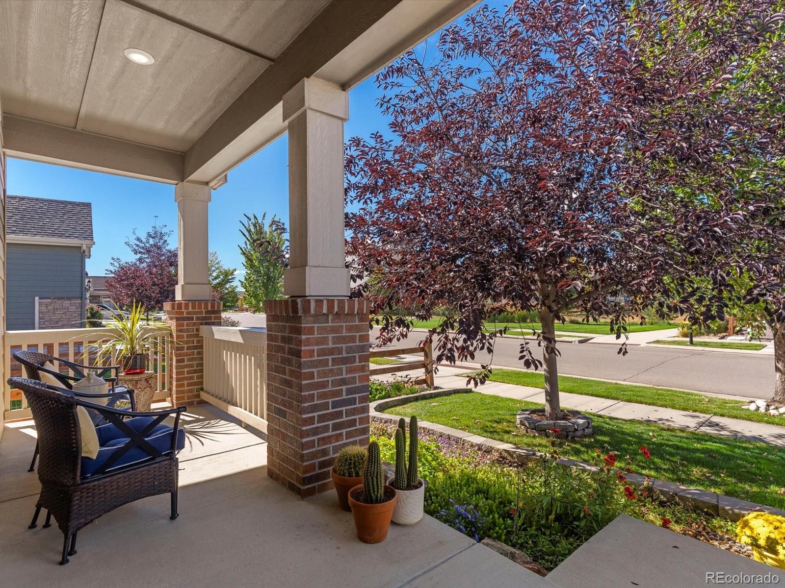 MLS Image #5 for 2320  tyrrhenian circle,longmont, Colorado