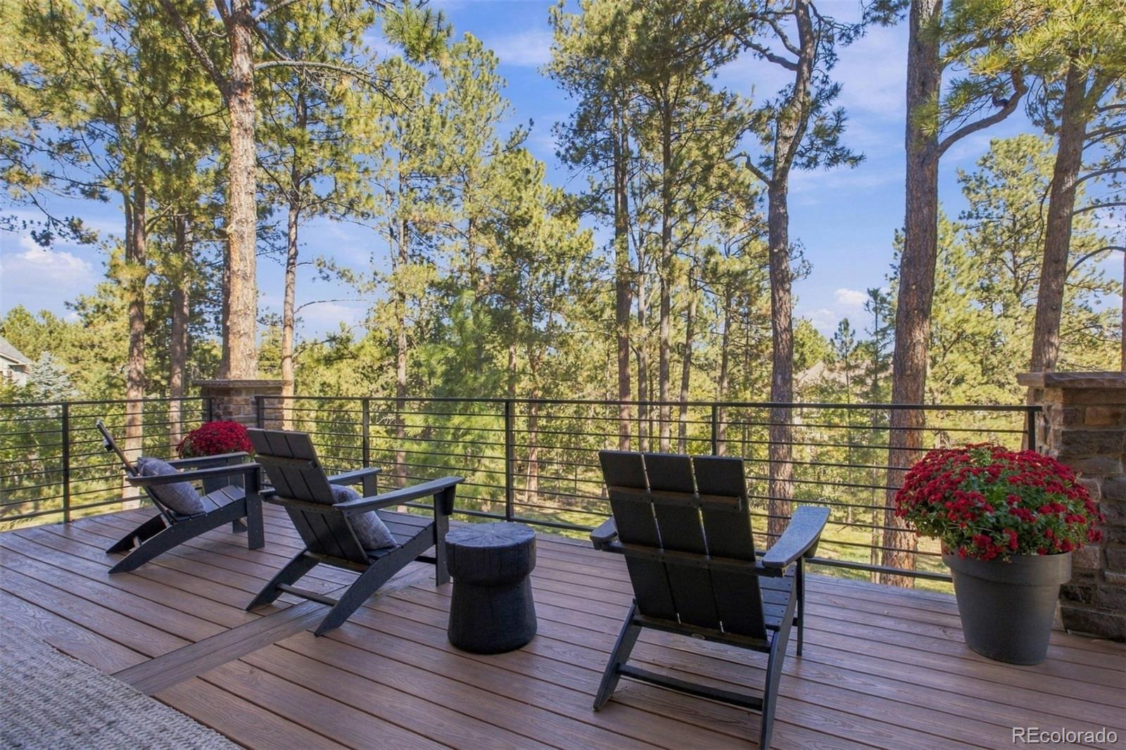 MLS Image #19 for 1109  tenderfoot drive,larkspur, Colorado
