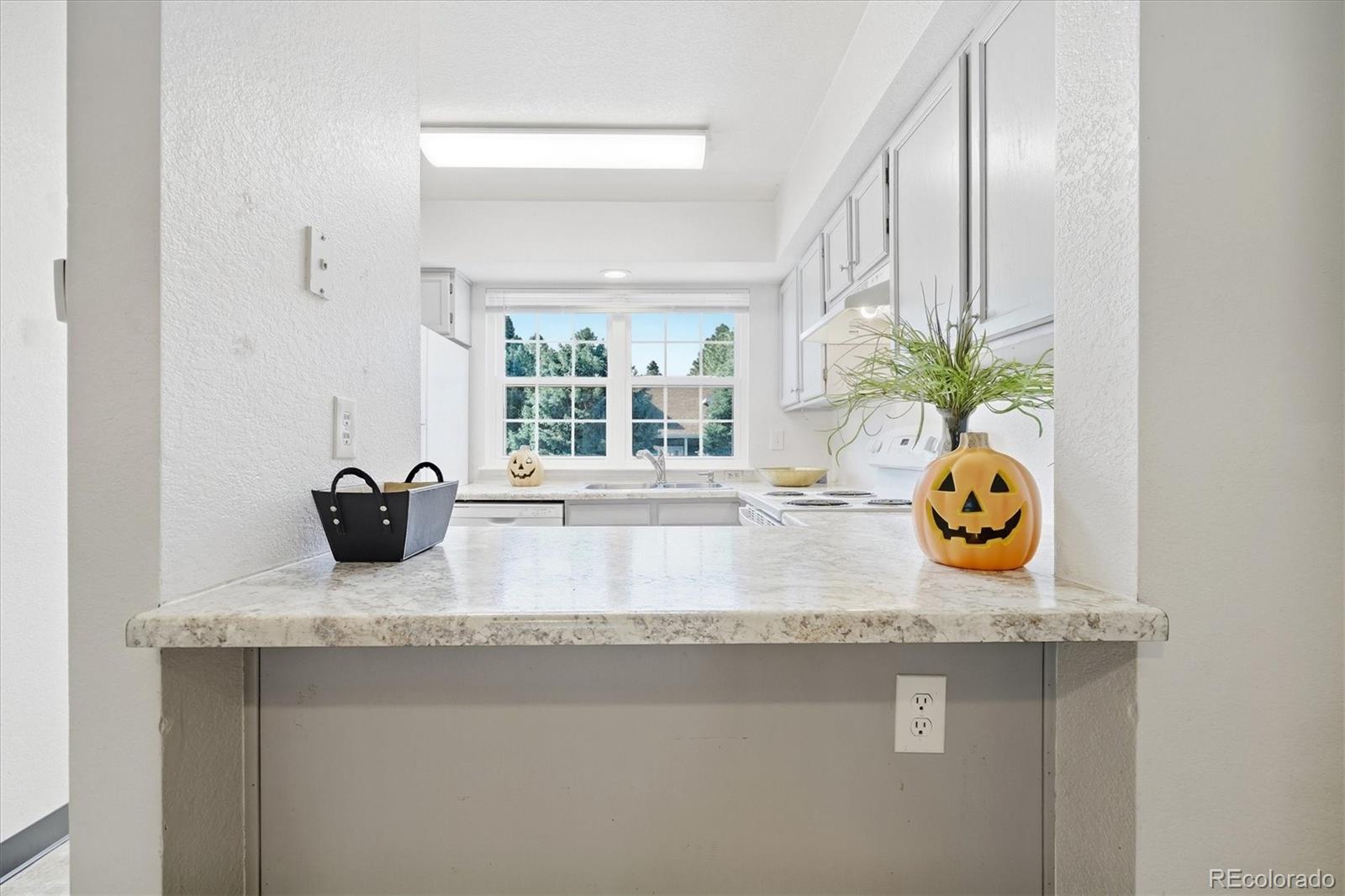 MLS Image #12 for 8199  welby road,thornton, Colorado