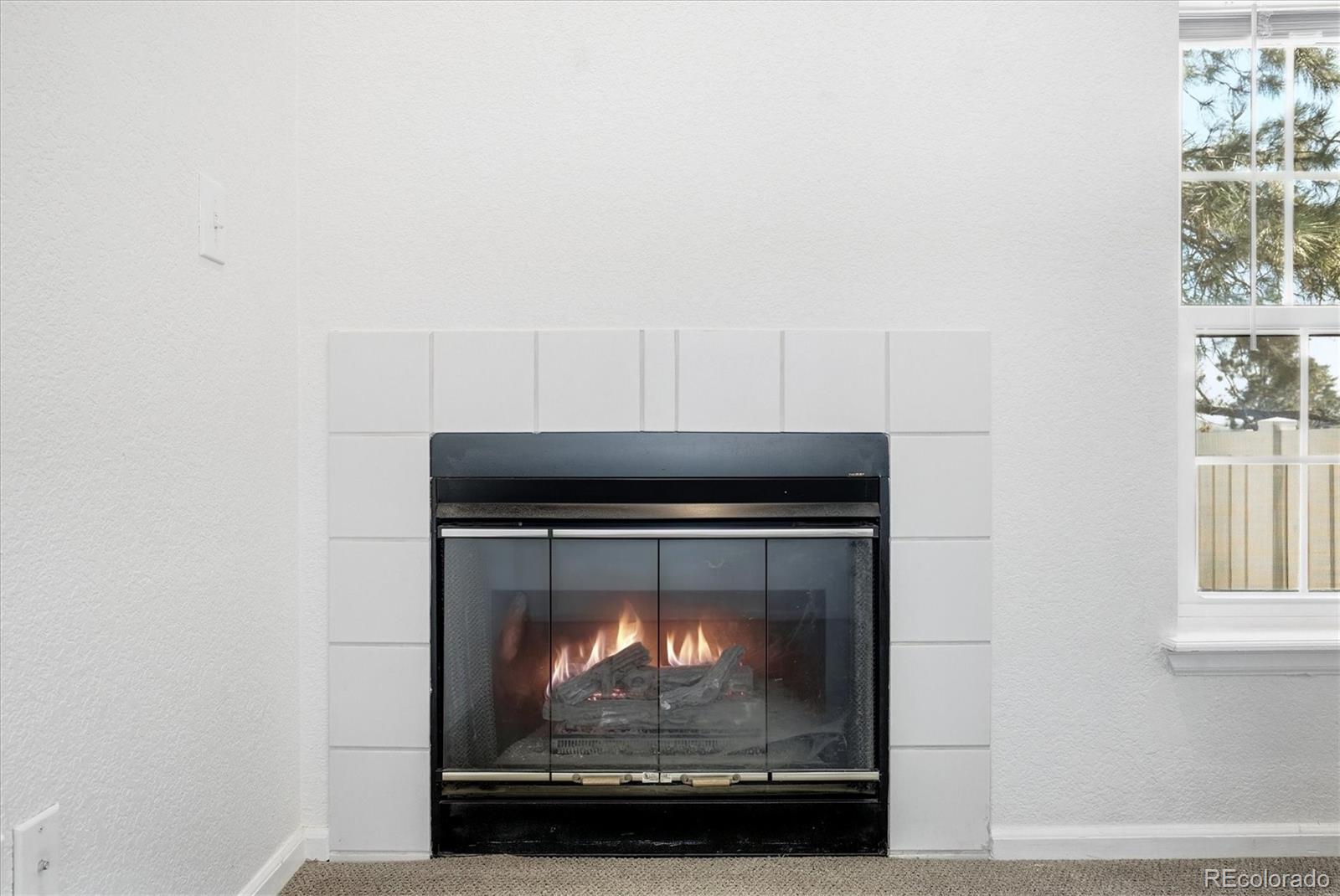 MLS Image #7 for 8199  welby road,thornton, Colorado