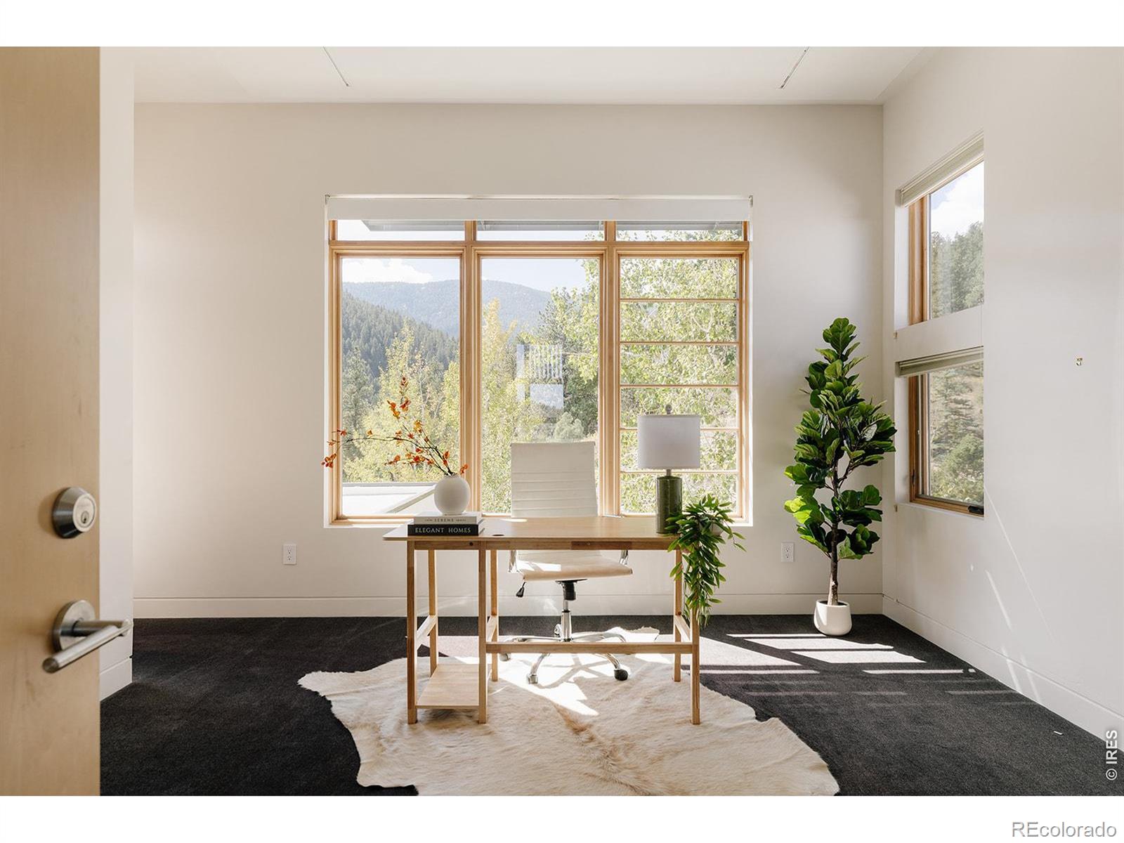 MLS Image #35 for 266  old whiskey road,nederland, Colorado