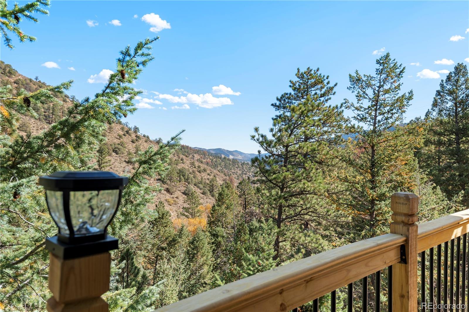 MLS Image #38 for 940 s spring gulch road,idaho springs, Colorado