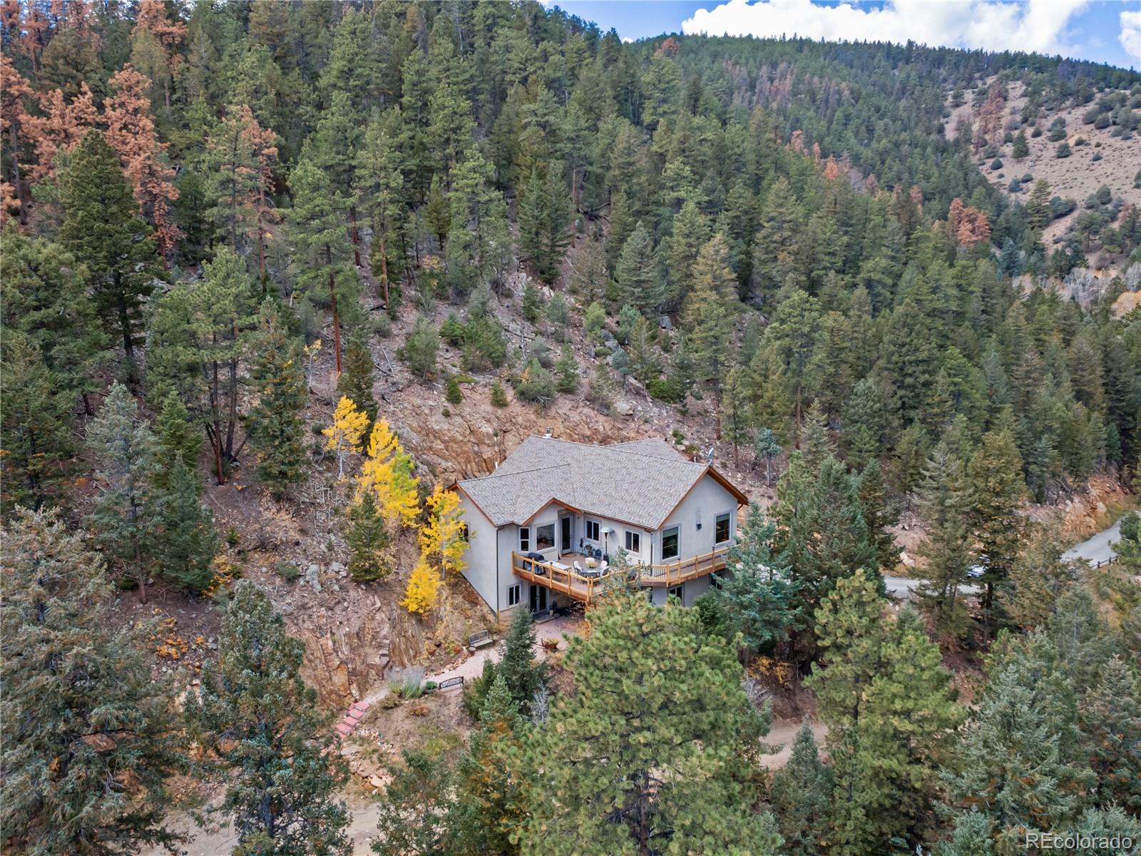 MLS Image #5 for 940 s spring gulch road,idaho springs, Colorado