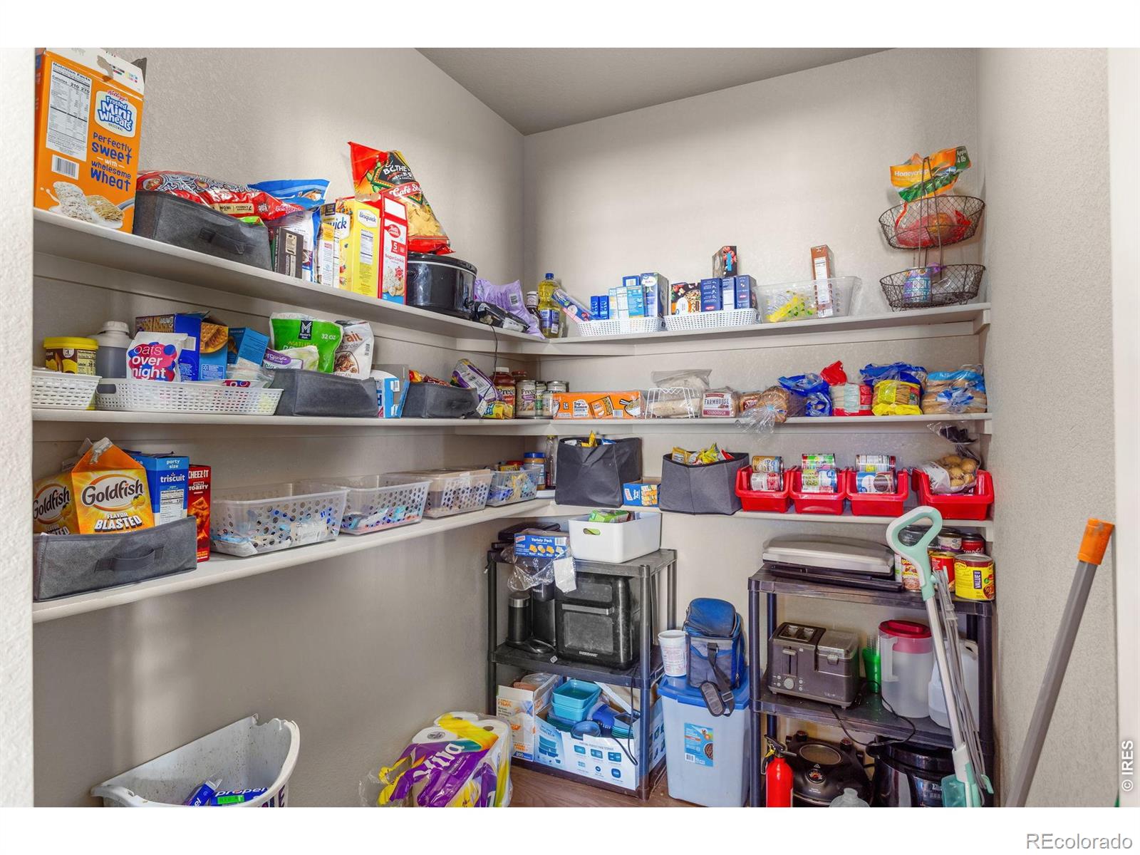 MLS Image #14 for 3746  torch lily street,wellington, Colorado