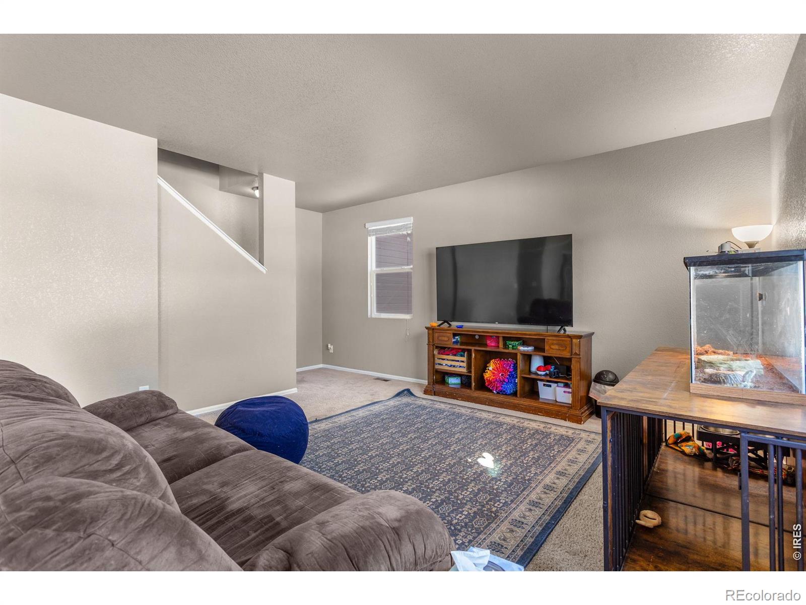 MLS Image #18 for 3746  torch lily street,wellington, Colorado