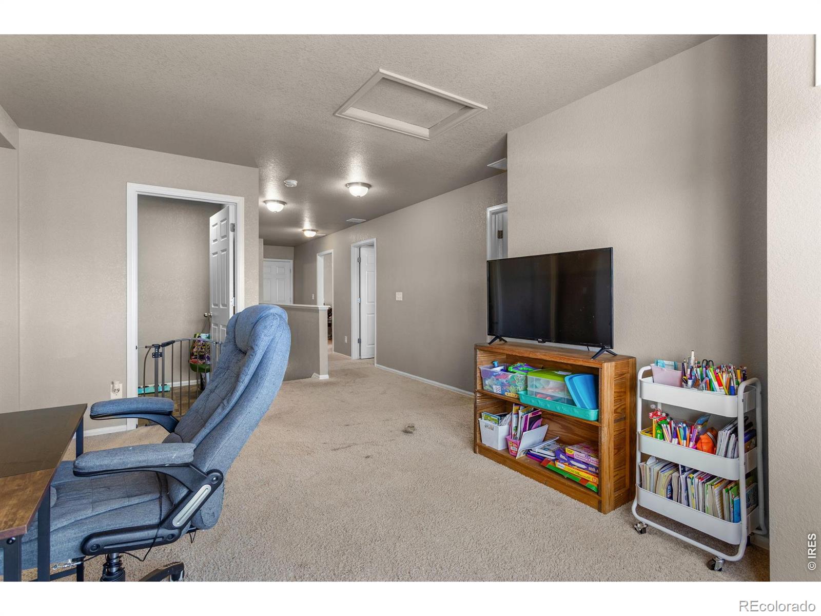 MLS Image #21 for 3746  torch lily street,wellington, Colorado