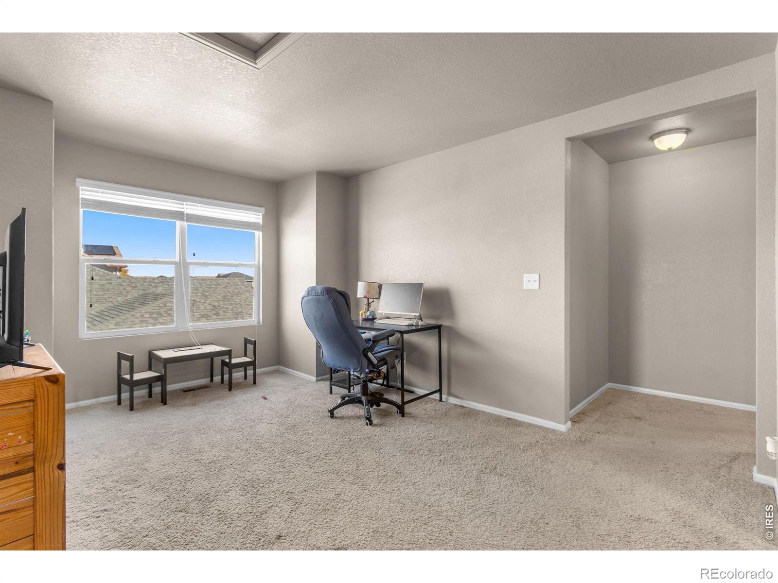 MLS Image #22 for 3746  torch lily street,wellington, Colorado