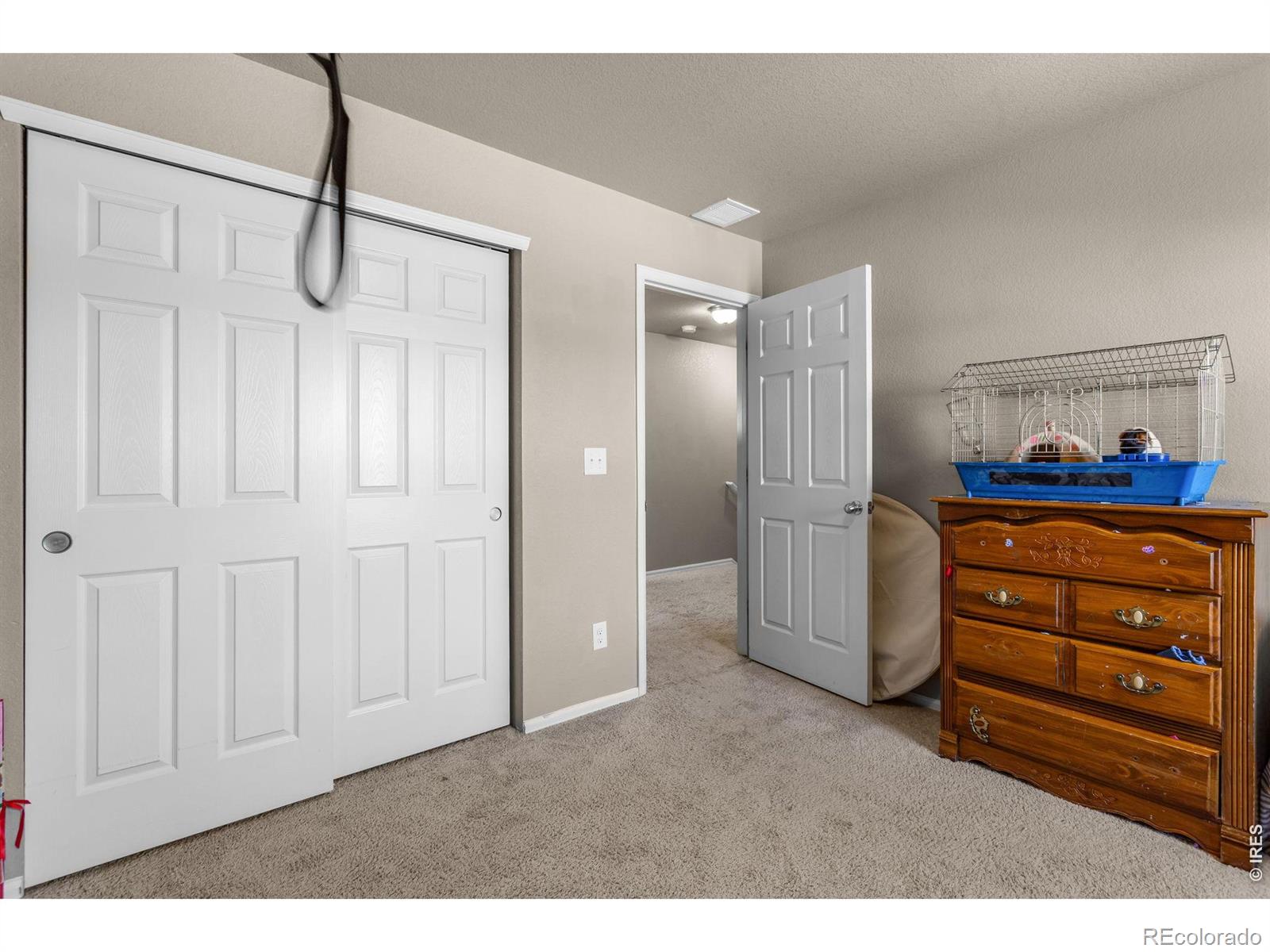 MLS Image #26 for 3746  torch lily street,wellington, Colorado