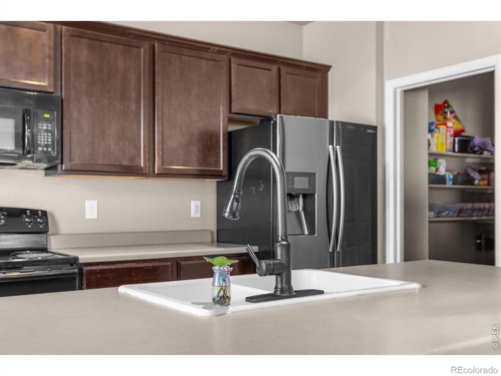 MLS Image #4 for 3746  torch lily street,wellington, Colorado