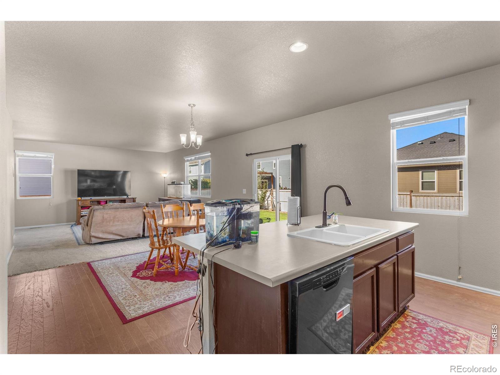 MLS Image #5 for 3746  torch lily street,wellington, Colorado