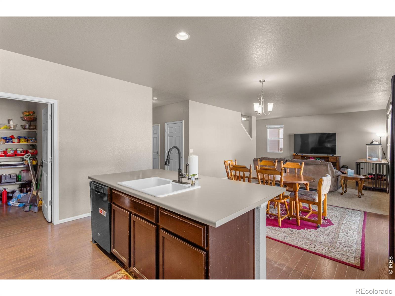 MLS Image #7 for 3746  torch lily street,wellington, Colorado