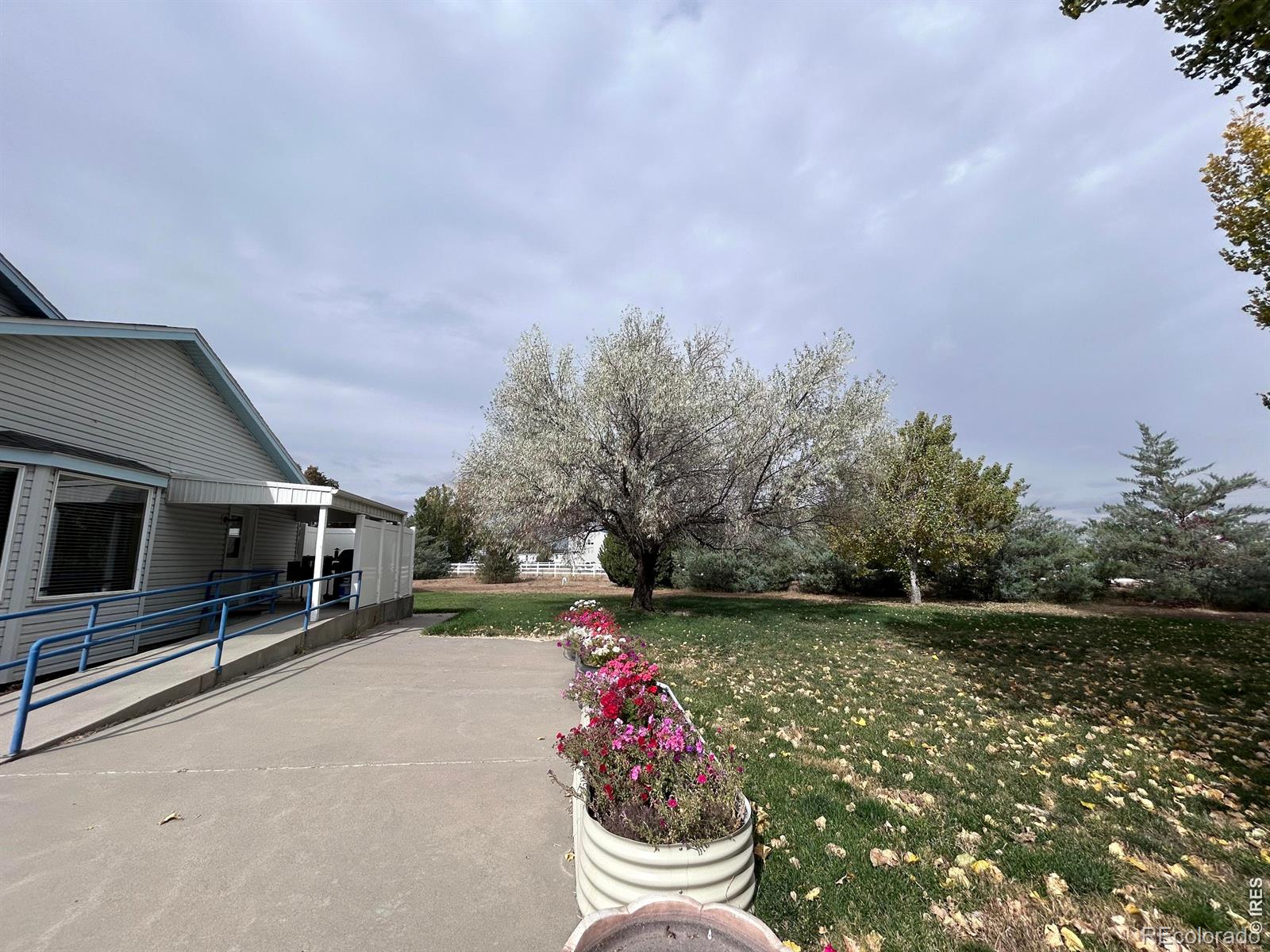 MLS Image #17 for 717  3rd avenue,wiggins, Colorado