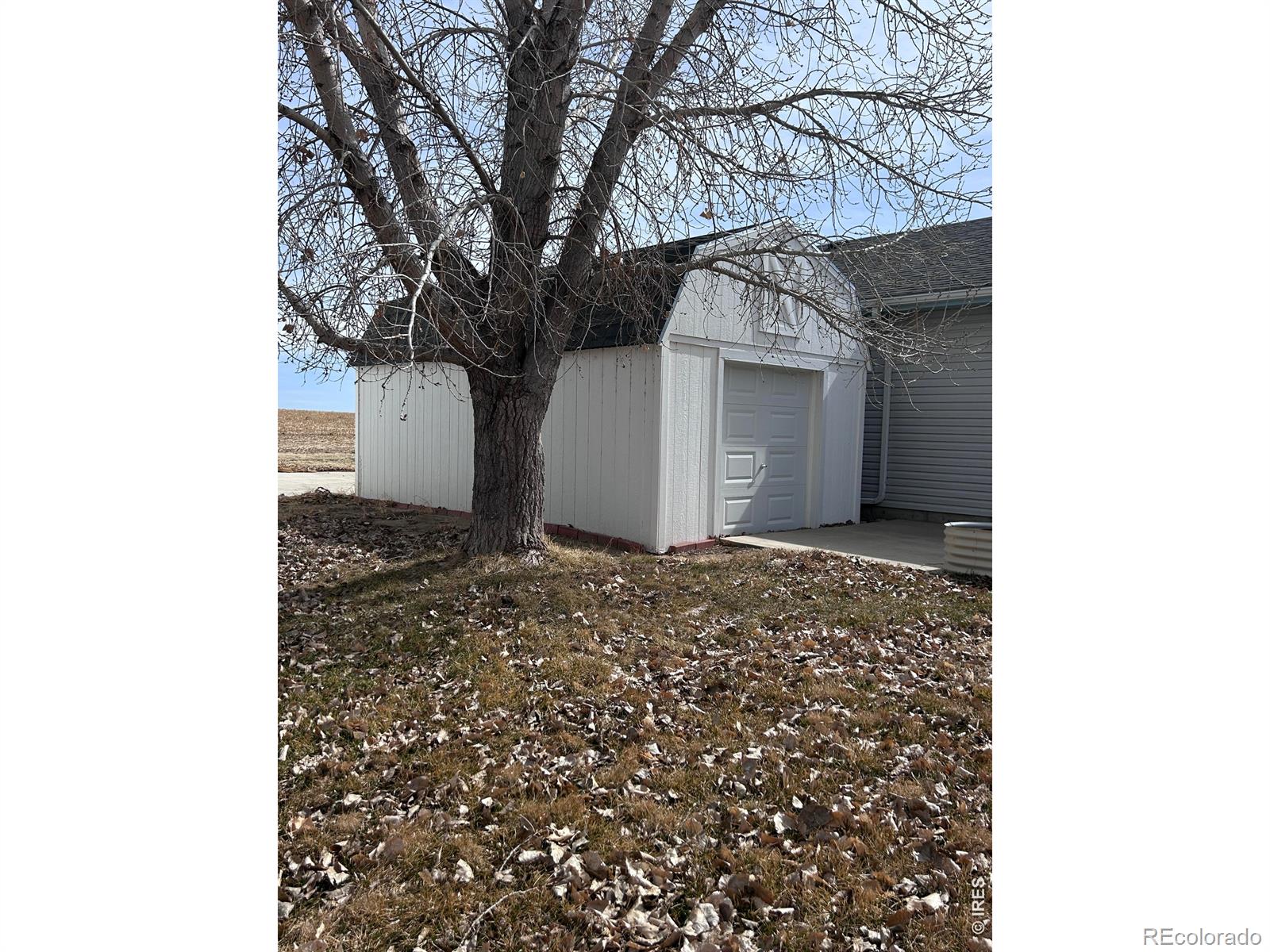 MLS Image #25 for 717  3rd avenue,wiggins, Colorado