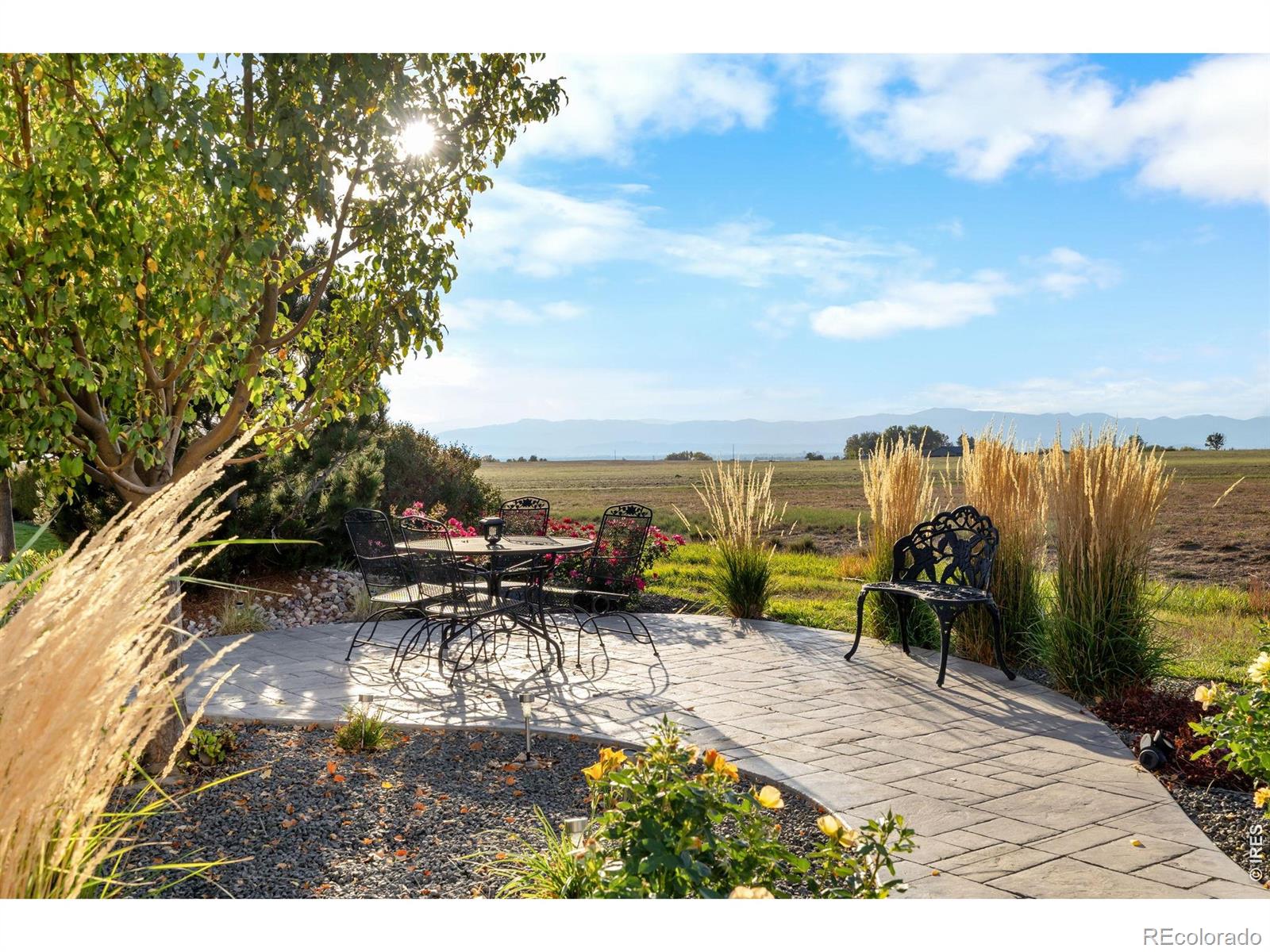 MLS Image #41 for 303  duesenberg lane,fort collins, Colorado