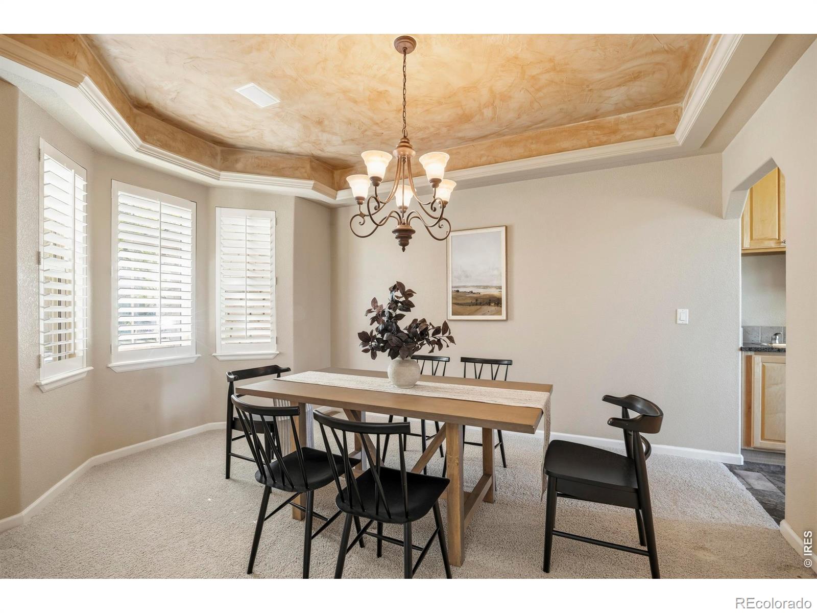 MLS Image #15 for 4927  valley oak drive,loveland, Colorado