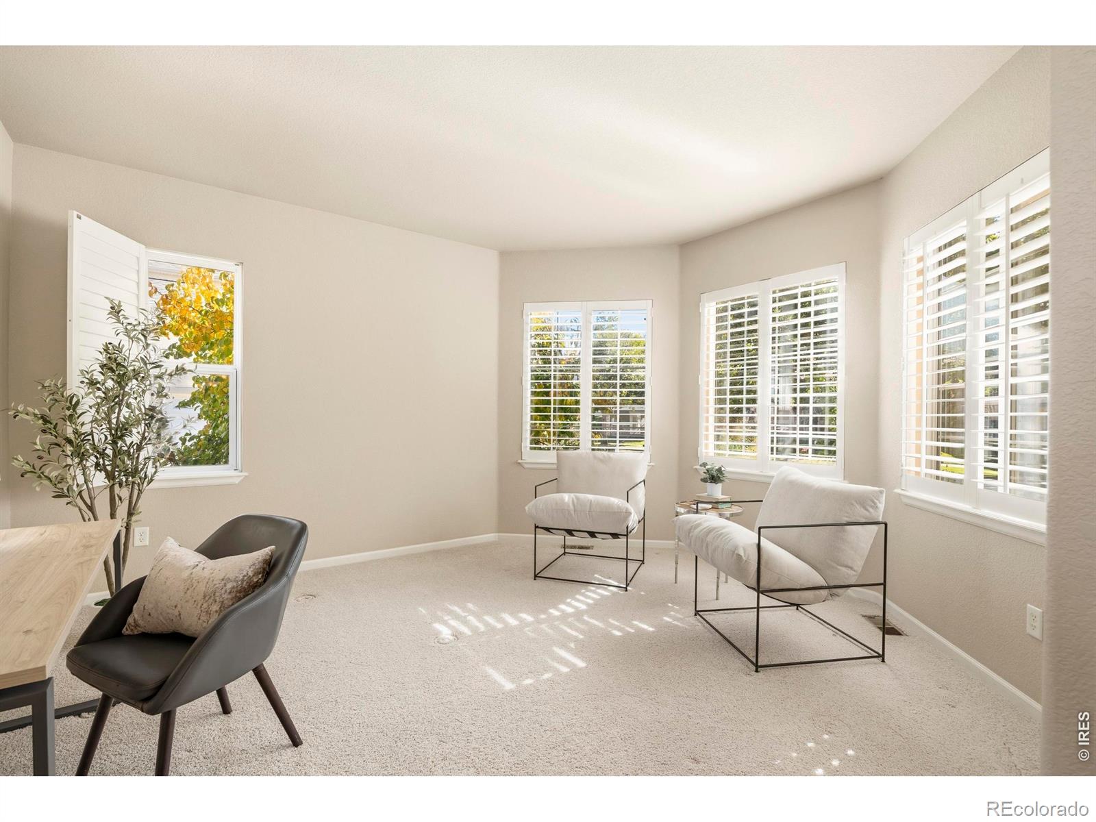 MLS Image #18 for 4927  valley oak drive,loveland, Colorado