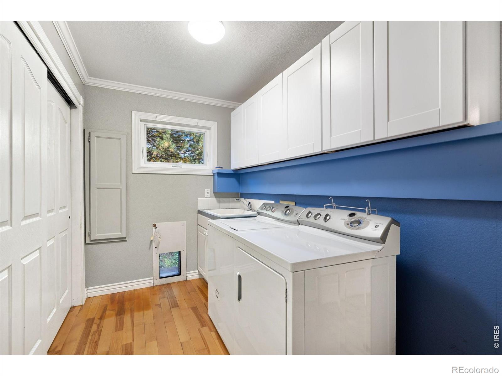 MLS Image #39 for 1024  fox hills drive,fort collins, Colorado