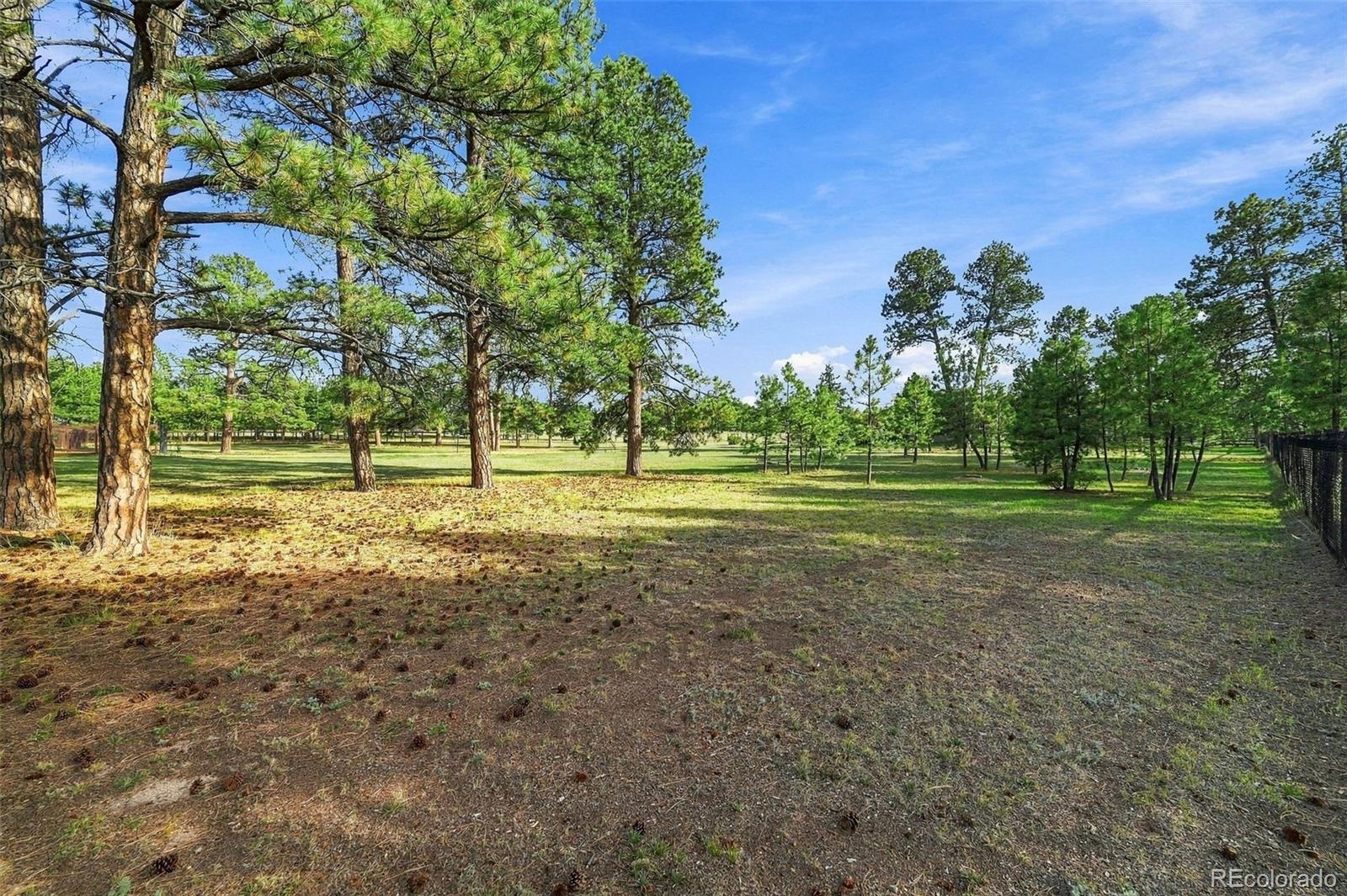MLS Image #16 for 5496  timber ridge drive,elizabeth, Colorado