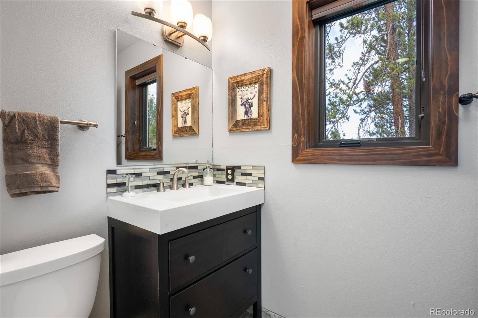 MLS Image #17 for 843  badger lane,fraser, Colorado