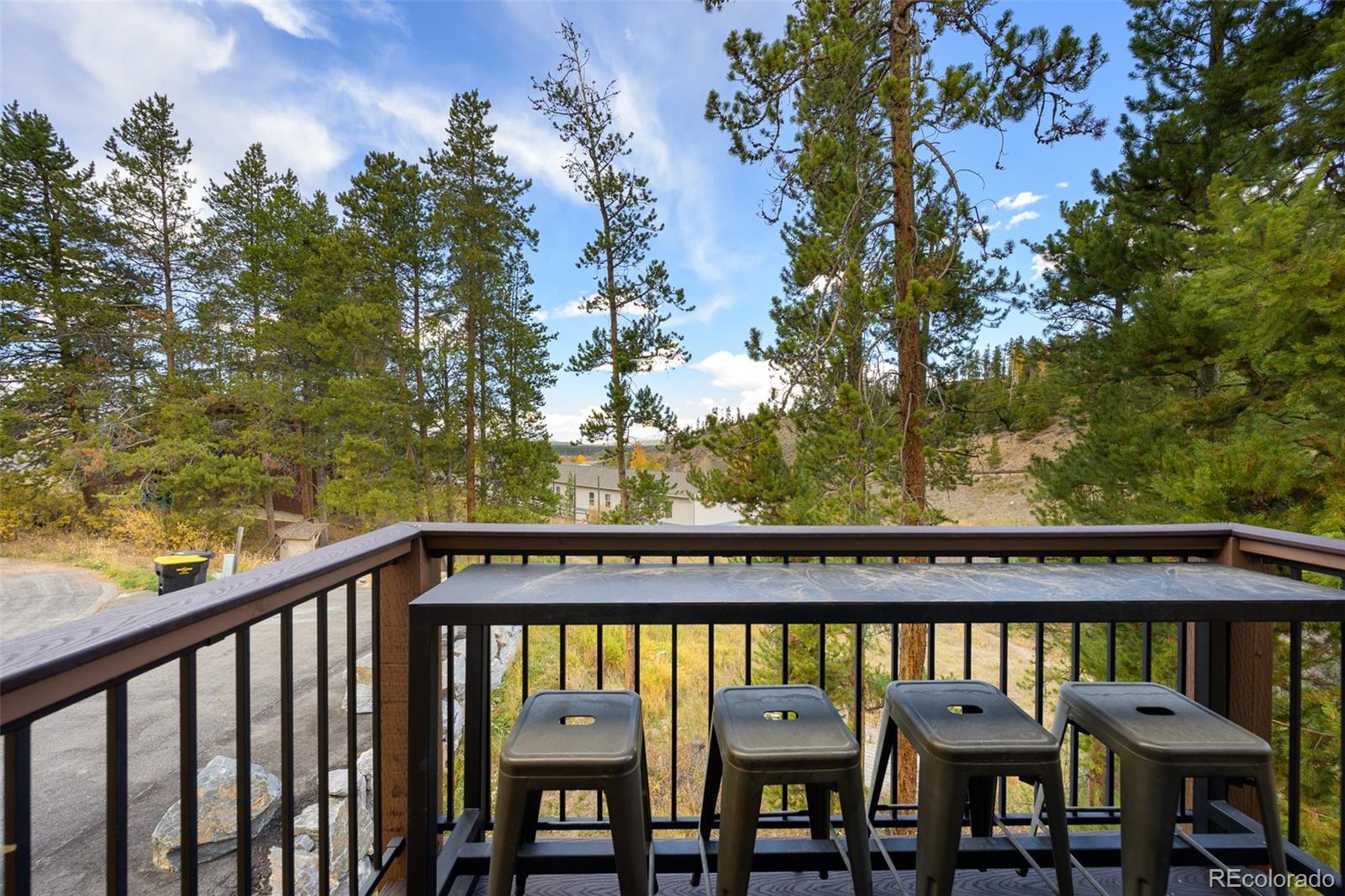 MLS Image #22 for 843  badger lane,fraser, Colorado