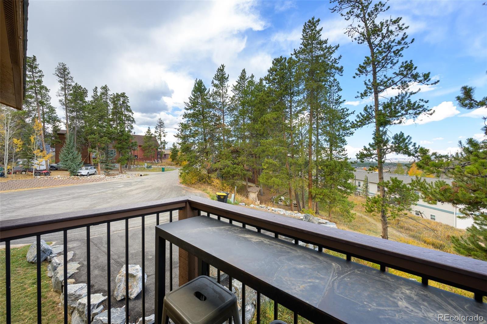 MLS Image #23 for 843  badger lane,fraser, Colorado