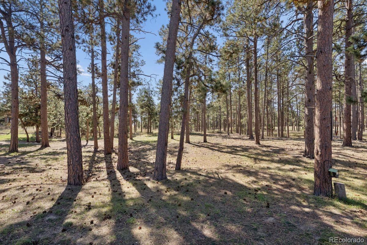 MLS Image #38 for 6055  vessey road,colorado springs, Colorado