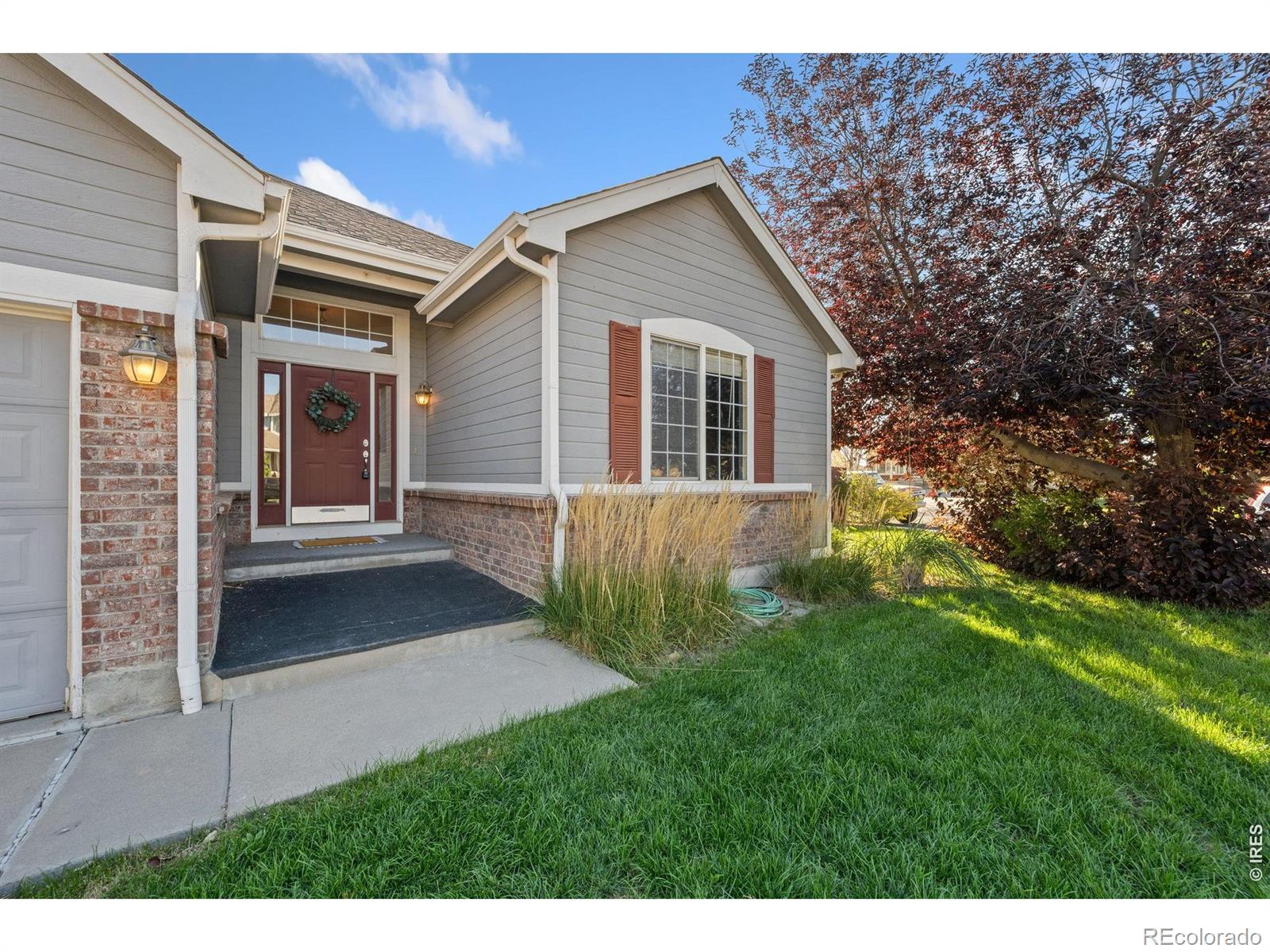 MLS Image #3 for 111  kits place,johnstown, Colorado