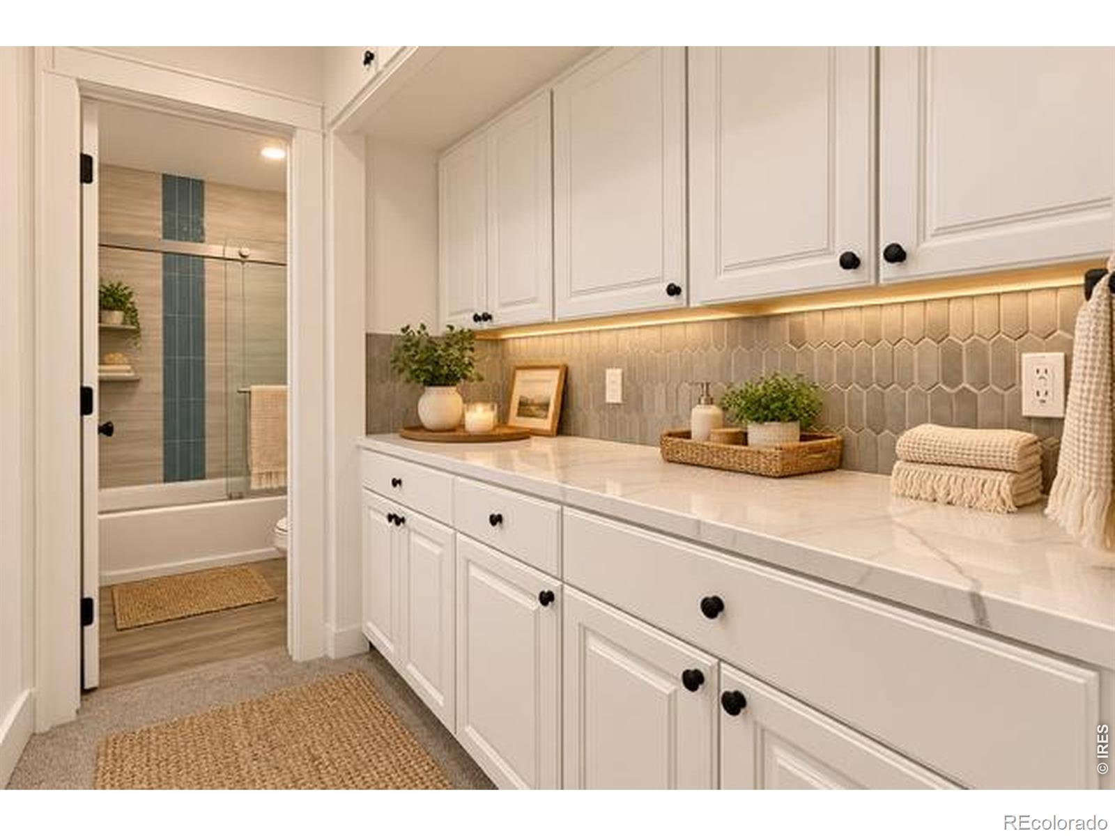 MLS Image #21 for 1309  green street,fort collins, Colorado