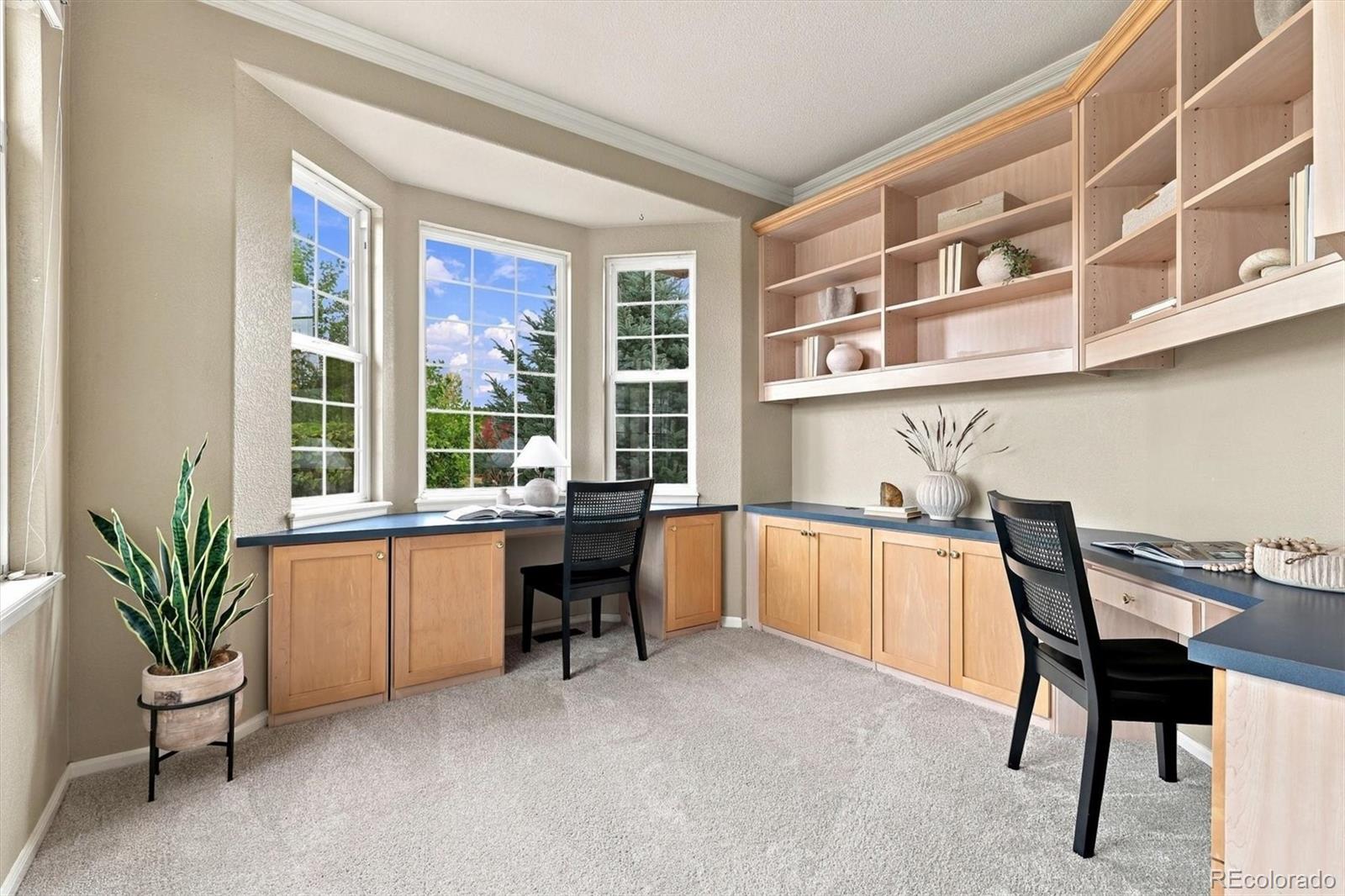 MLS Image #11 for 13713  boulder point,broomfield, Colorado
