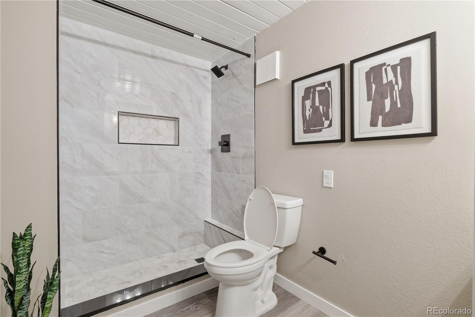 MLS Image #5 for 2944  zuni street 5,denver, Colorado
