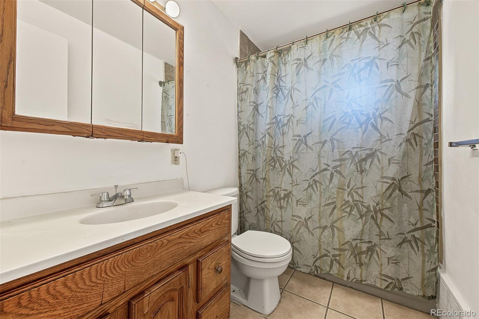 MLS Image #19 for 3015  carson street,aurora, Colorado