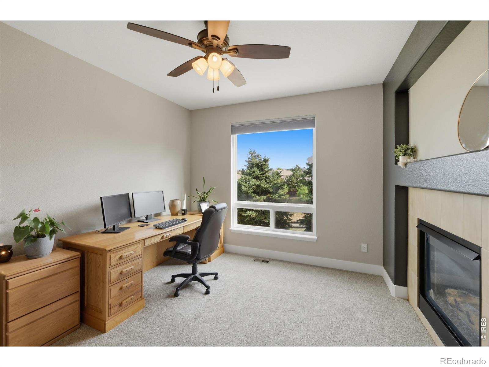 MLS Image #10 for 652  cinnabar lane,castle rock, Colorado