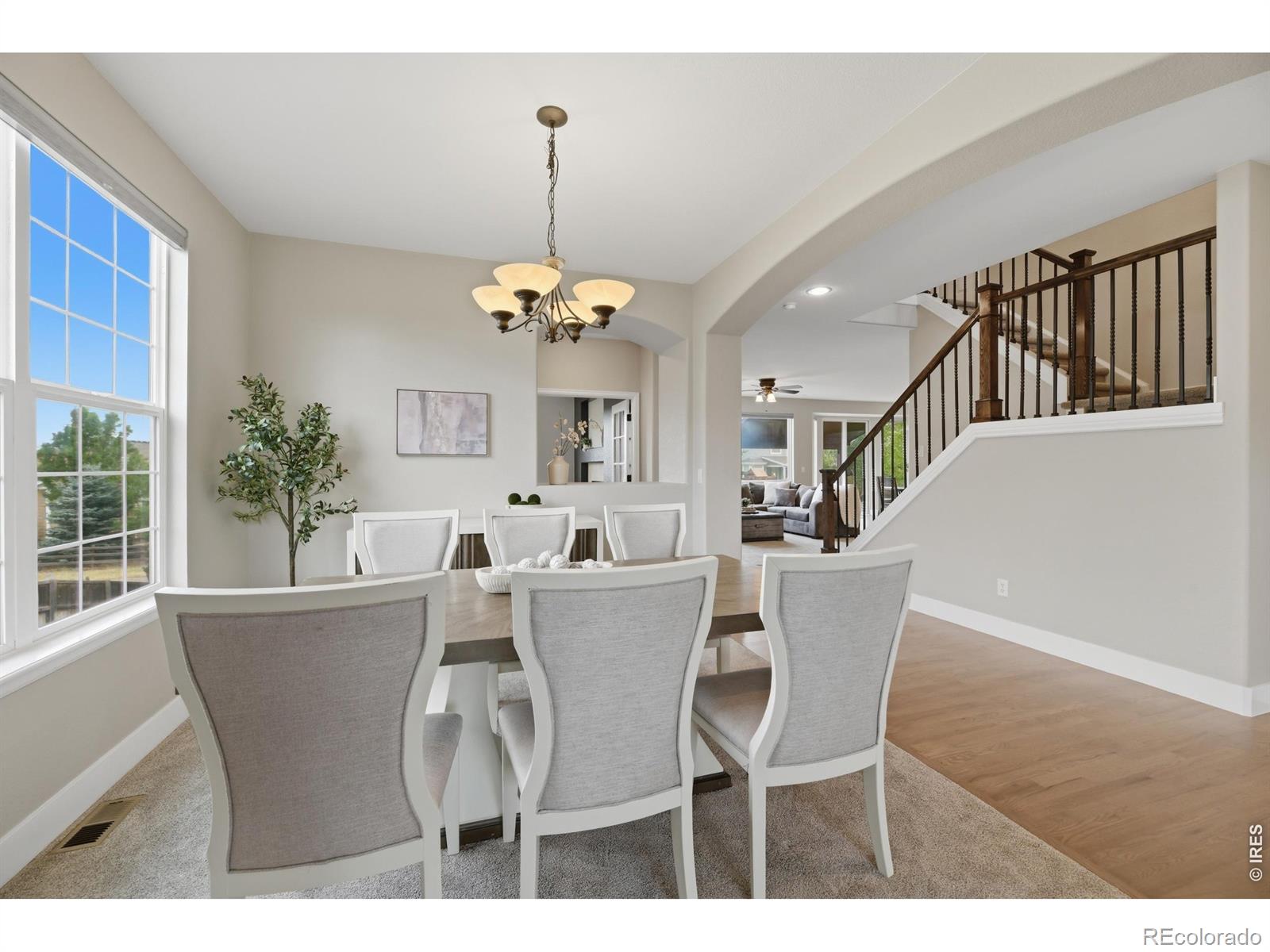 MLS Image #6 for 652  cinnabar lane,castle rock, Colorado
